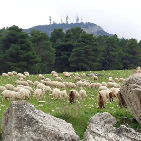 Archi Di San Giacomo Cammarata